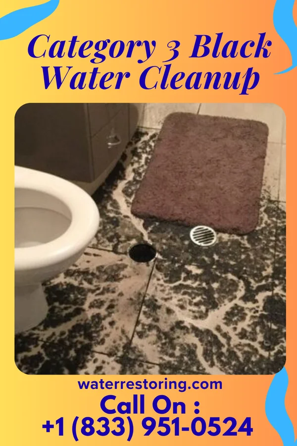 Category 3 Black Water Cleanup in Thomasville, GA