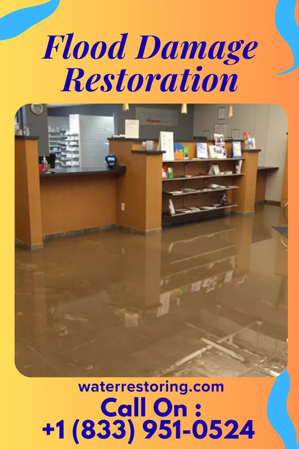 Flood Damage Restoration in Thomasville, GA